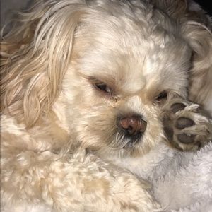 Meet your Posher, Madi